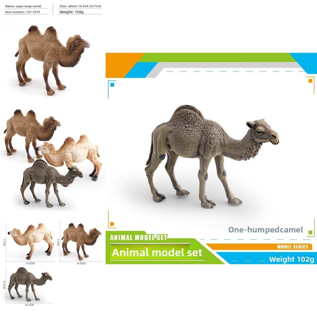 Desert Animal Pvc Figurine Twin Hump Camel Static Decor For Children Learning Play