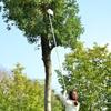 Metal Fruit Picker Orchard Gardening Apple Peach High Tree Picking Tools Fruit Catcher Collector Gardening Tools