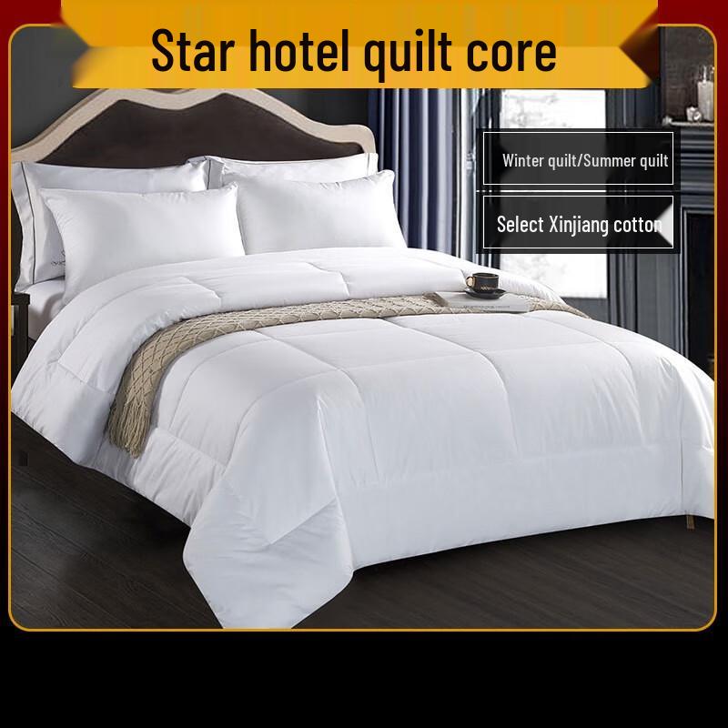 Chenhong Premium Duck Feather Summer Quilt