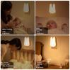Creative Plug-in Timing LED Night Light for Bedroom Decoration with Night Soft Light Feeding Remote Control Bedside Light