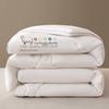 Thickened Warm Duvet Insert