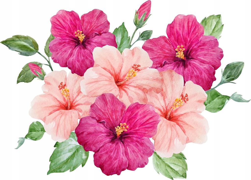 Set of Decorative Stickers for Children - Hibiscus