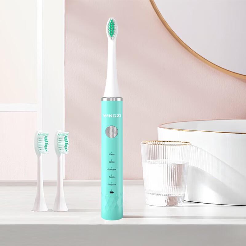 Yangzi DFC-001 Sonic Electric Toothbrush
