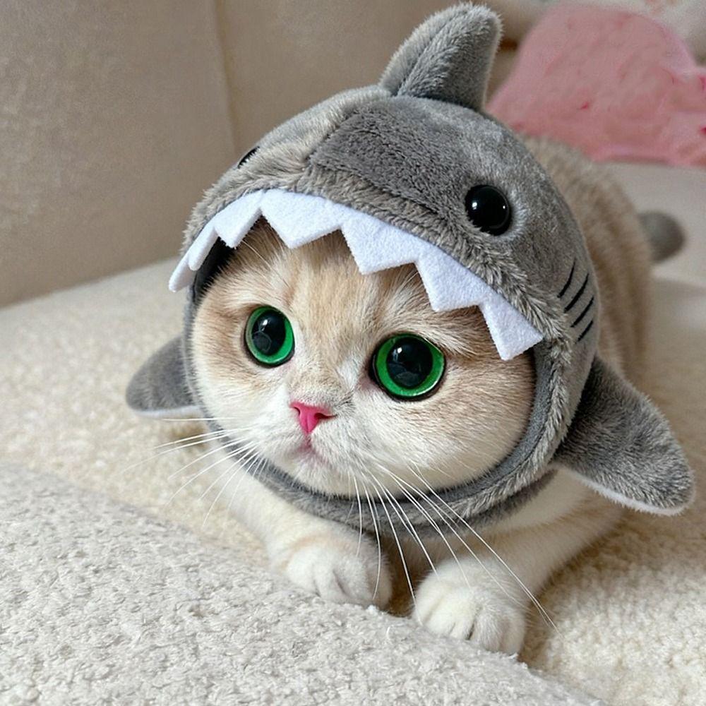 Cartoon Cat Shark Headdress Warm Plush Pet Cosplay Headwear Cat Decorative Hat  Winter Season