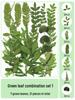 Handmade Transparent Bottle Embossing Film for Spring Plant Specimen Bookmarks