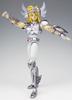 TAMASHII NATIONS Saint Cloth Myth Bronze Saint Fünf Krieger Versammlung