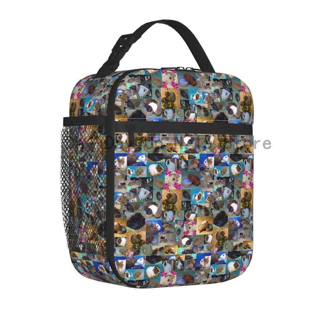 Roztomilá izolovaná taška na oběd s kapybarou pro ženy, opakovaně použitelná termotaška, chladicí taška na bento box do práce, školy, na cestování