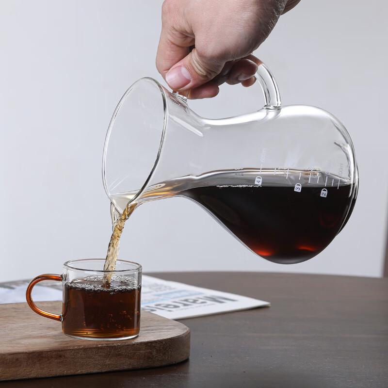 Glas-Kaffeekanne mit Filter für Pour-Over
