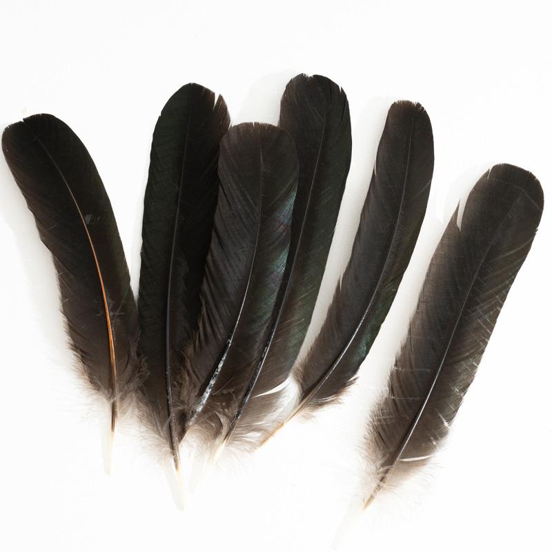 80 Natural Pheasant Feather Decorative Diy Jewelry Hair Accessories Material Cat Stick Toy Accessories
