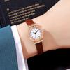 Light Luxury Birthday Stone Women'S Watch Niche Fashion Snake Pattern Leather Watch Women'S Waterproof High-End Quartz Watch