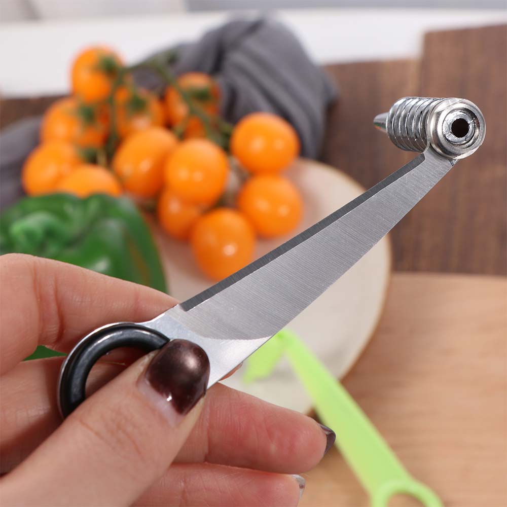 Stainless Steel Vegetable Spiral Cutting Machine Multifunctional Vegetable Spiralizer BBQ Cooking