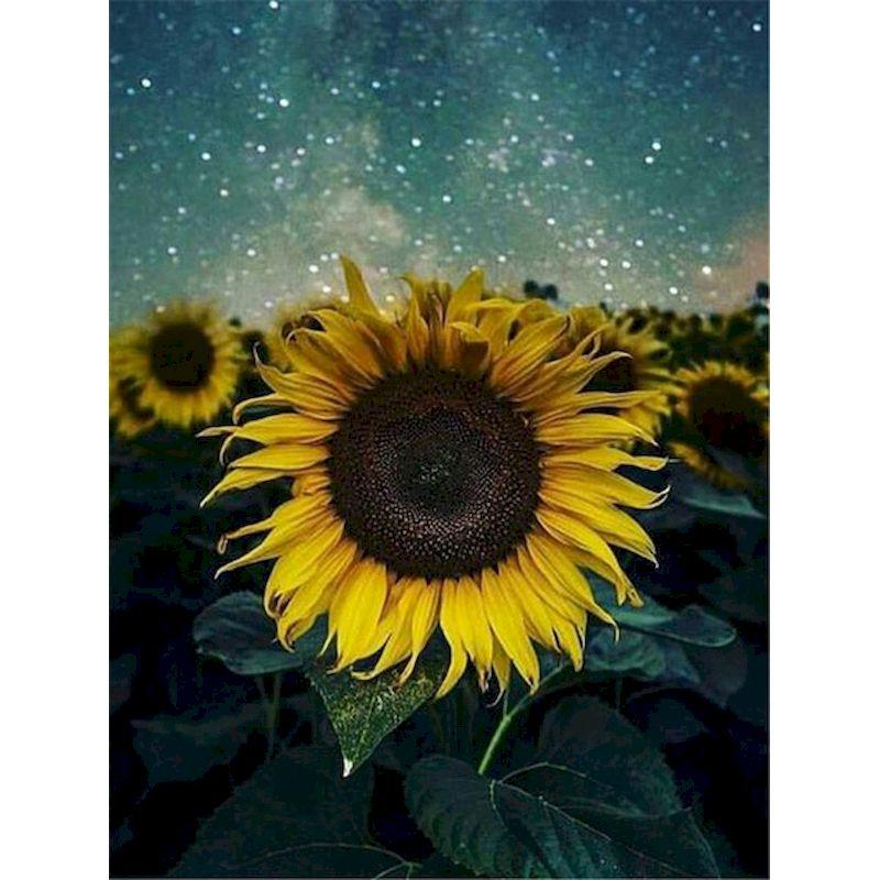 Full Diamond Embroidery Sunflower Diamond Mosaic Painting Kits Sunsetting Scenery Creative Hobbies Pictures Home Deco
