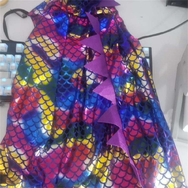 Halloween Dinosaur Costume Dinosaur Cape Dragon Hooded Cloak Dressing Up Clothes Wizard Witch Cloak for Boys Girls Kids