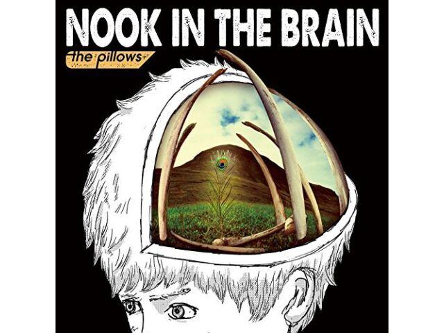 

подушки NOOK IN THE BRAIN First Limited Edition CD DVD QECD-90003 НОВИНКА