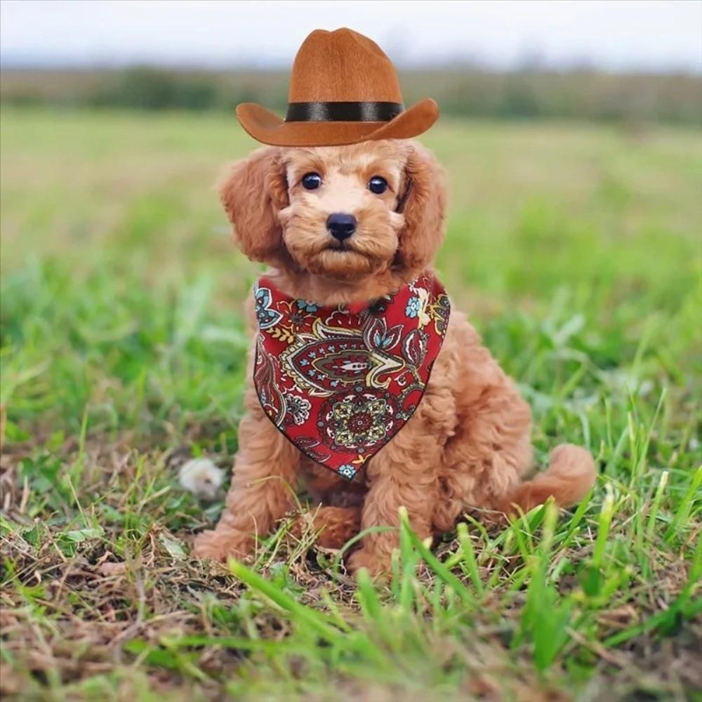 Cute Pet Cowboy Hat Breathable Cosplay Cap Bandana Pet Supplies Pet Costume  For Cats and Dogs