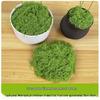 Artificial Moss Silk Grass Lawn for Landscaping and Decoration