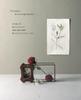 Crochet with Embroidery Thread Beautiful Flower Encyclopedia (applemints)