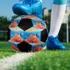 Nemo Theme Size 5 Soccer Ball, Suitable for Both Indoor and Outdoor Matches, a Gift Suitable for Everyone.