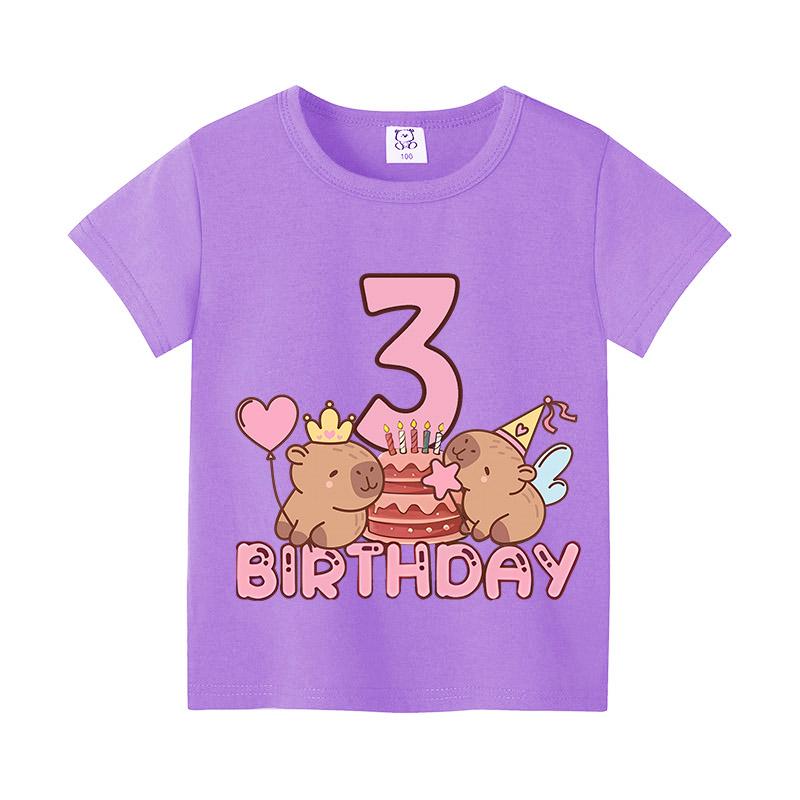 Capybara Birthday Print T-Shirtt Girls Number Short Sleeves Shirts Cartoon Anime Figures Tops Clothes Kids Summer Cotton Tees