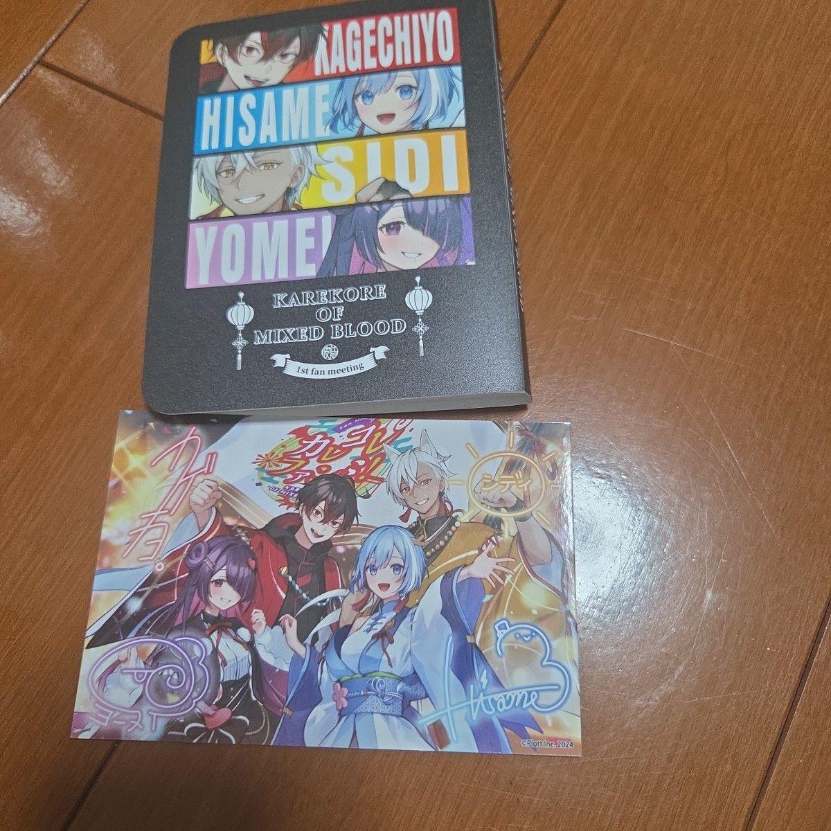 Used Boyfriend bromide holder