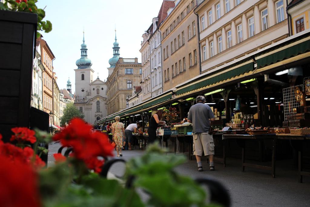 Canon STM EF-S24mm F2.8 Wide-Angle Single-Focus Lens, APS-C Compatible, EF-S2428STM