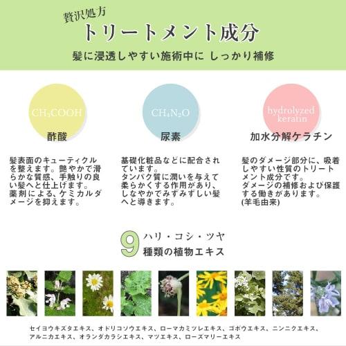 Hair Straightening Starter Set, Quasi-drug, Hair Straightening Agent, Pre- and Post-treatment Agent, Pre-treatment Agent, Post-treatment Agent, Hair C