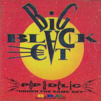 

CD BBC - Big Black Cat MWCA0001 AIRBARNE Japan Dance & Electronica Used