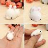 Soft Cute Rabbit Squishy Healing Squeeze Stress Reliever