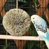 Natural Grass Parrot Hanging Grass Ball Chew-able Shreddable Bird Foraging Ball Bite Resistant Foraging Bird Lovebird