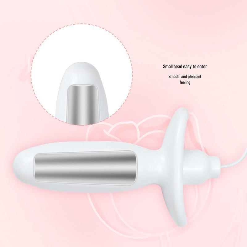 Rechargeable Remote Control Electric Shock Butt Plug for Men & Women - Silent Anal & Vaginal Masturbator