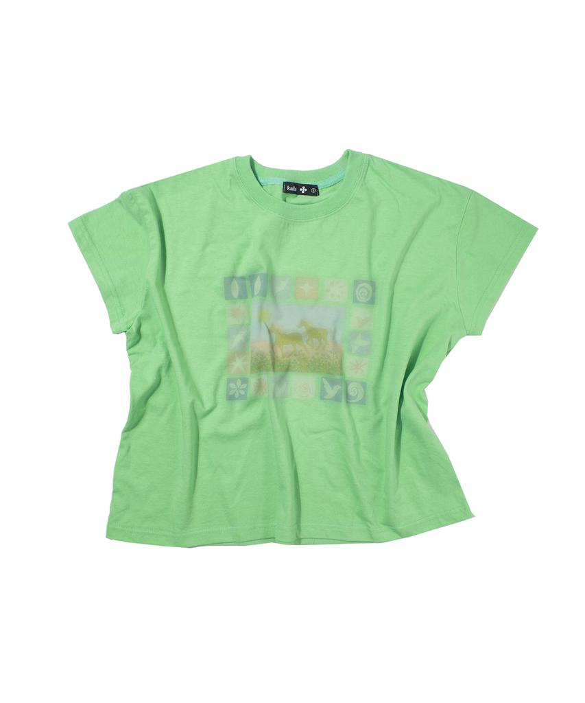 KAIFAI Pio Short Sleeve T-Shirt (Light Green) K26Qb236