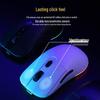Dareu EM903 Lightweight Wireless Gaming Mouse