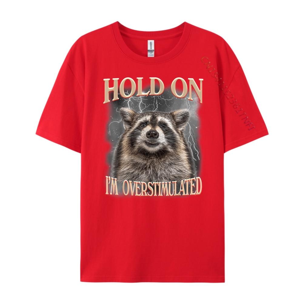 

Hold On Im Overstimulated Raccoon Funny Men Women Streetwear Men Fall T Shirts For Men S