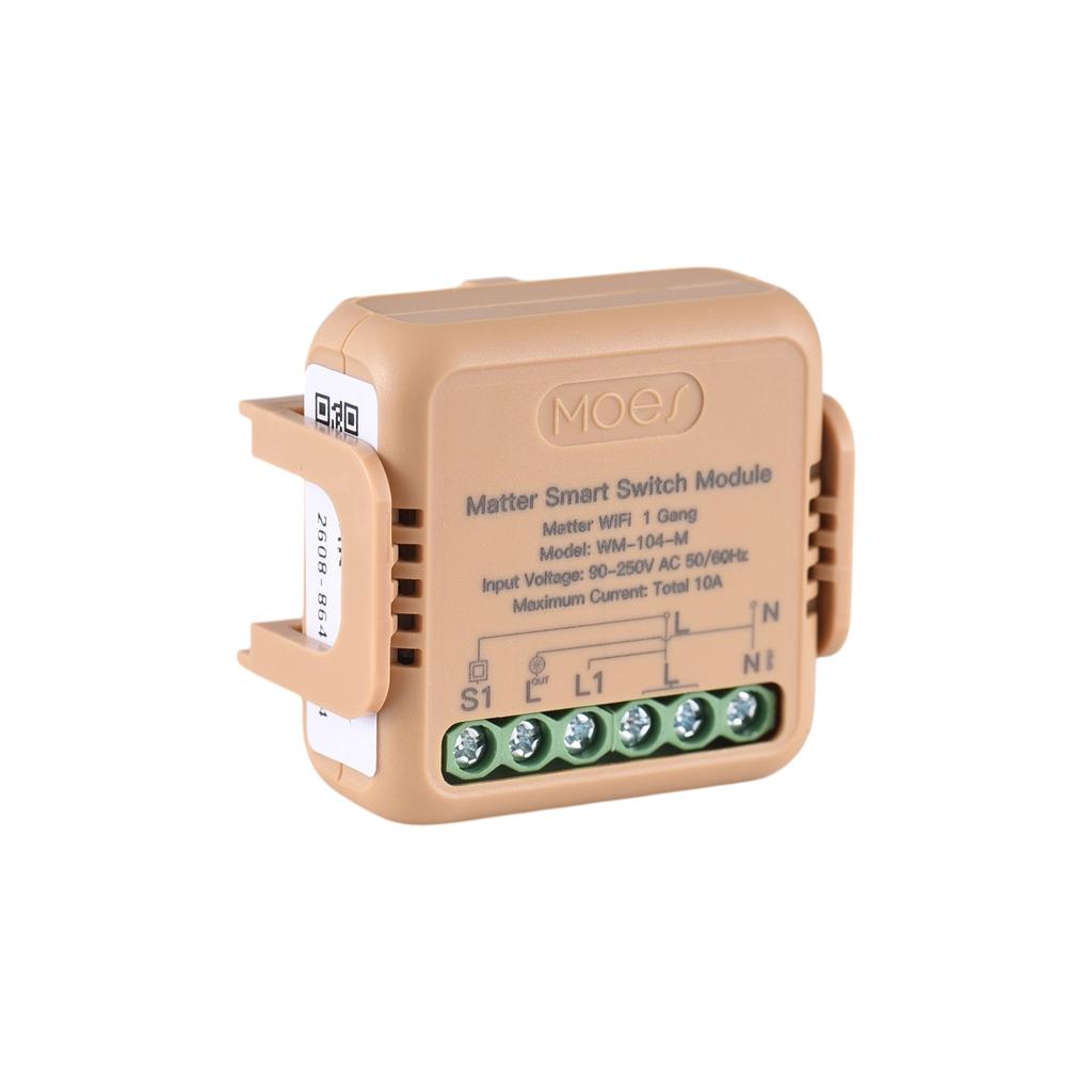 Matter Smart Switch TY WiFi Relay Module 10A Universal DIY Wireless Light Switch APP and Voice Control with Timer