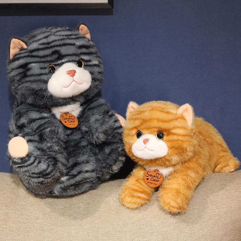 Cat Plush Cute Toys Cartoon Girl Children Bedroom Decoration Presents Dolls