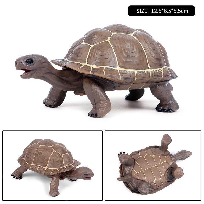 Oenux Ocean Animals  Leatherback Tortoise Turtle Growth Cycle Sea Life Model Figurines Action Figures Pvc Education Kid Toy Gift