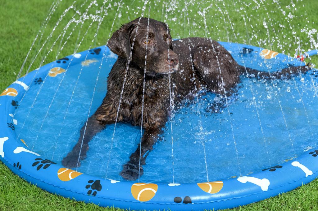 Bestway Dog Splash Pad, Sprinkler Mat, Non-Slip Sprinkler Pad for Dogs, Dog Pool, Splash Play