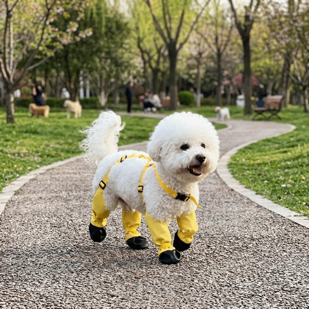 Splash Block Dog Shoes All Season Fit Pet Paw Shoes Paw Protect Dog Outdoor Shoes Outdoor Walking S