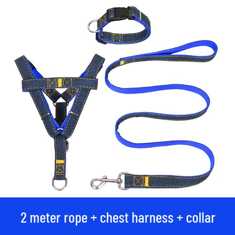 Multi-Size Dog Leash & Collar Set for Walking - Suitable for Small To Large Breeds