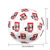 Argentina's Golden Celebration Soccer Ball Size 5 Football Machine-Stitched Indoor/Outdoor Training and Matches Soccer Accessory