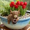 Drinking Highland Cow Figurine Holding Wine Beer Cup Highland Cattle Statue Resin Animal Sculpture Outdoor Garden Flower Pot Hugger Ornament