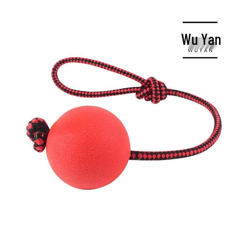 Dog Training Solid Rubber Ball with Rope (2-Pack)