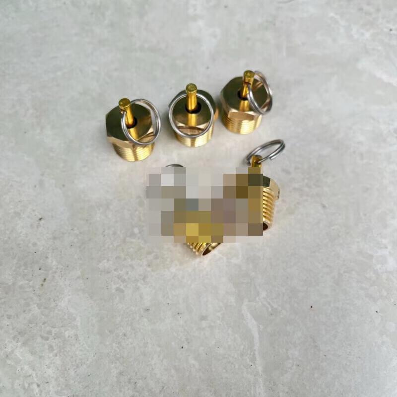 Truck Air Reservoir Drain Valve
