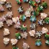 3Pcs Winter Christmas Tree Charms Beaded  Glass Handmade Woven For Keychain Earrings Necklace Diy Making Jewelry Gifts