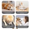 Bite Resistant Smart Pet Ball Random Path USB Charging Automatic Moving Ball with Rope 3 Modes Active Rolling Ball