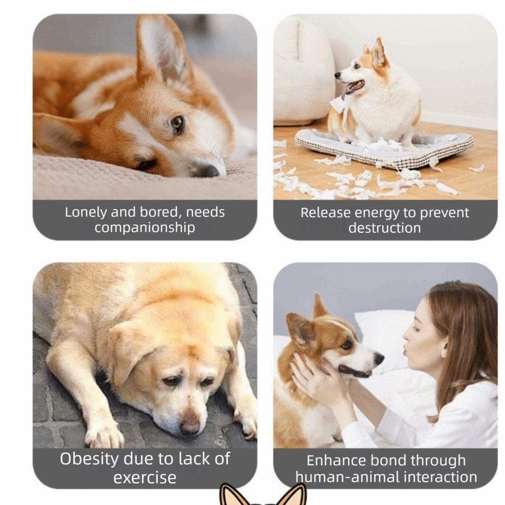 Bite Resistant Smart Pet Ball Random Path USB Charging Automatic Moving Ball with Rope 3 Modes Active Rolling Ball