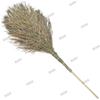Heavy-Duty Wooden Handle Asphalt Road Broom