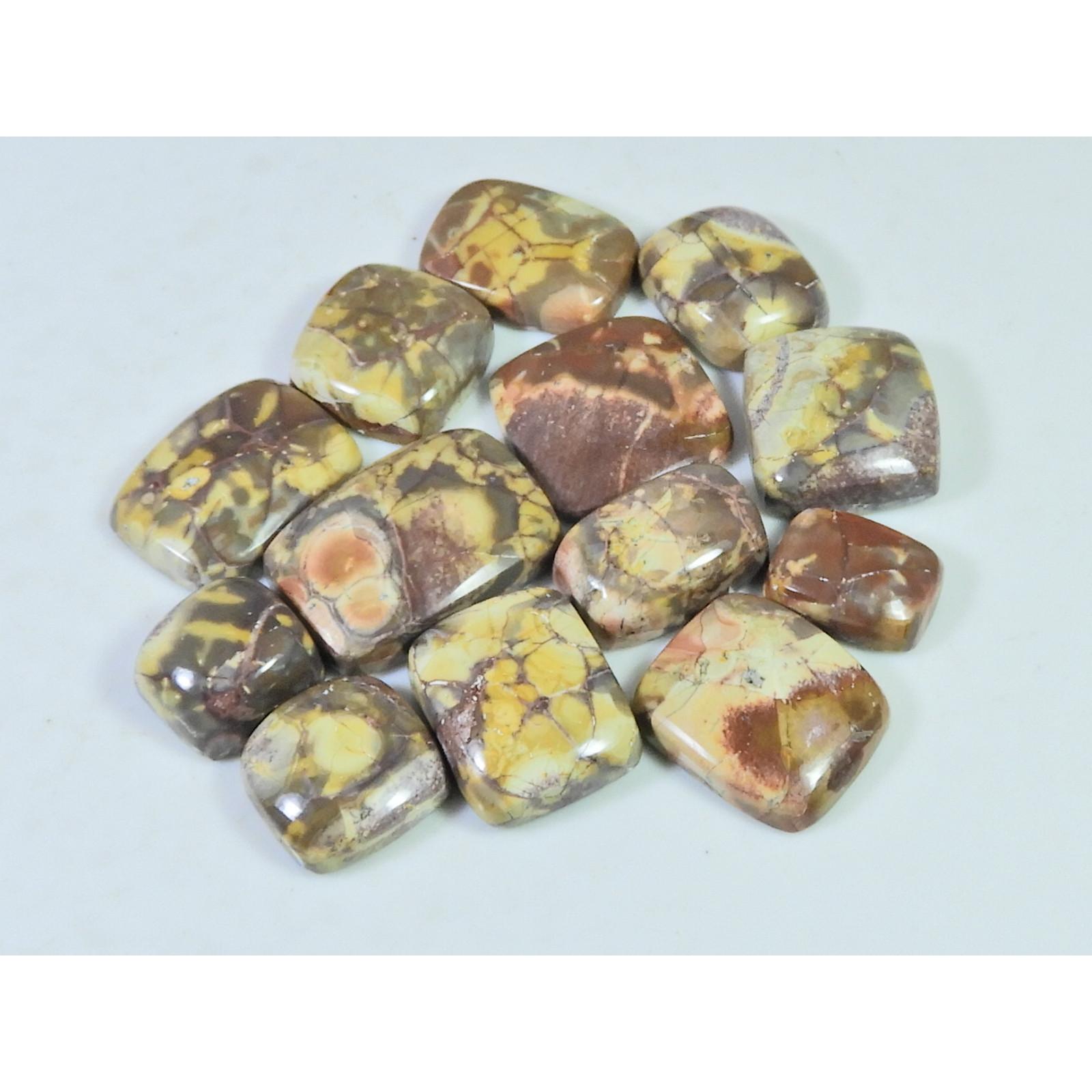123Cts. Natural Bird Eye Jasper Octagon Cabochon Loose Gemstone 13Pcs Lot C-1915