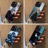 Chasing Jade - Sui Yuanhuai Phone Case For IPhone17  16 11 12 13 14 15 16 Pro Max Plus Cover Colored Silver Funda Bumber