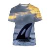 Summer Sea Fish Whale 3d Printed T-shirt Street Men's Fashion Harajuku Casual O-neck T-shirt T-shirt Top Clothing